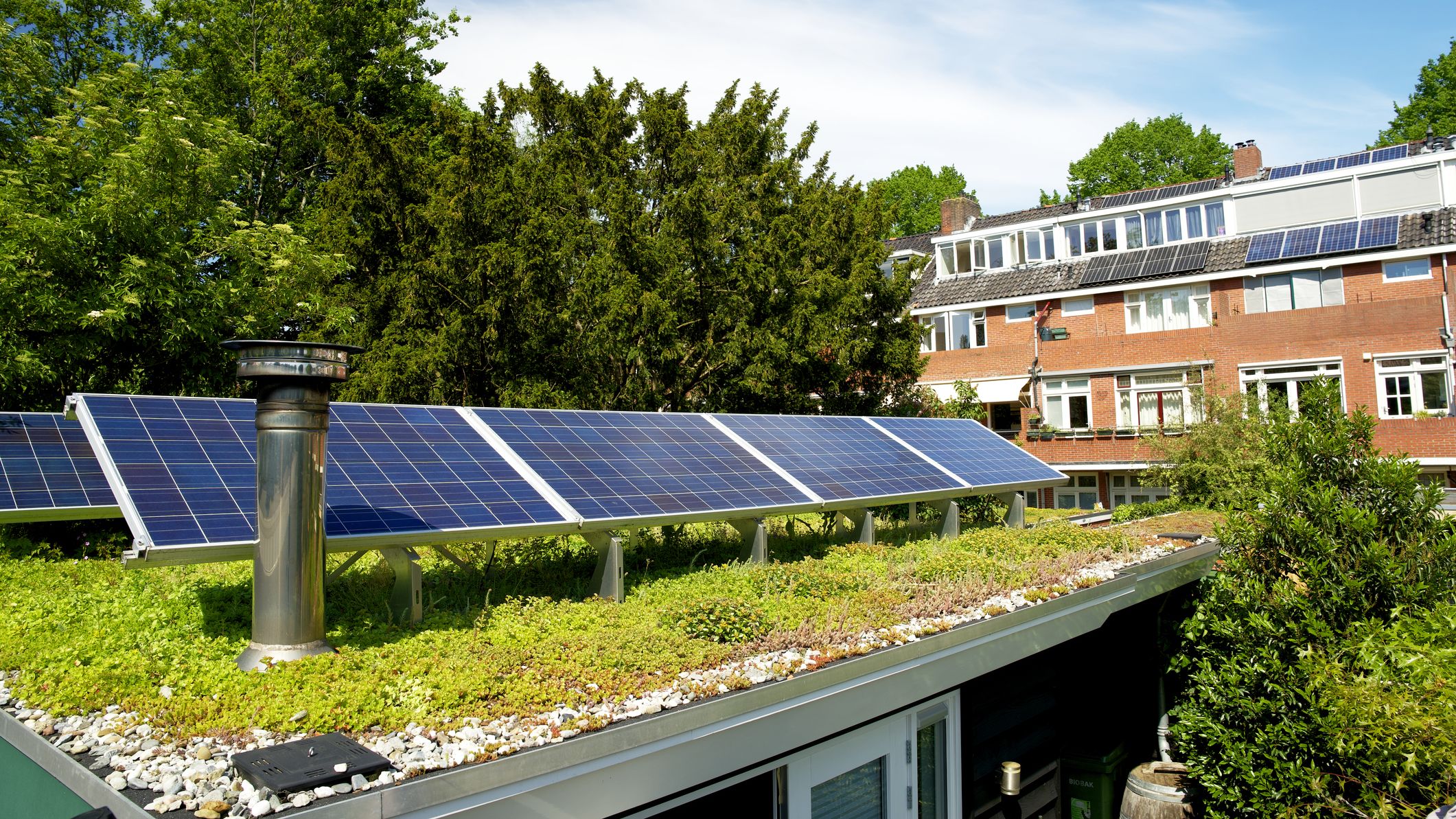 Photo d'illustration toiture végétalisation ENR