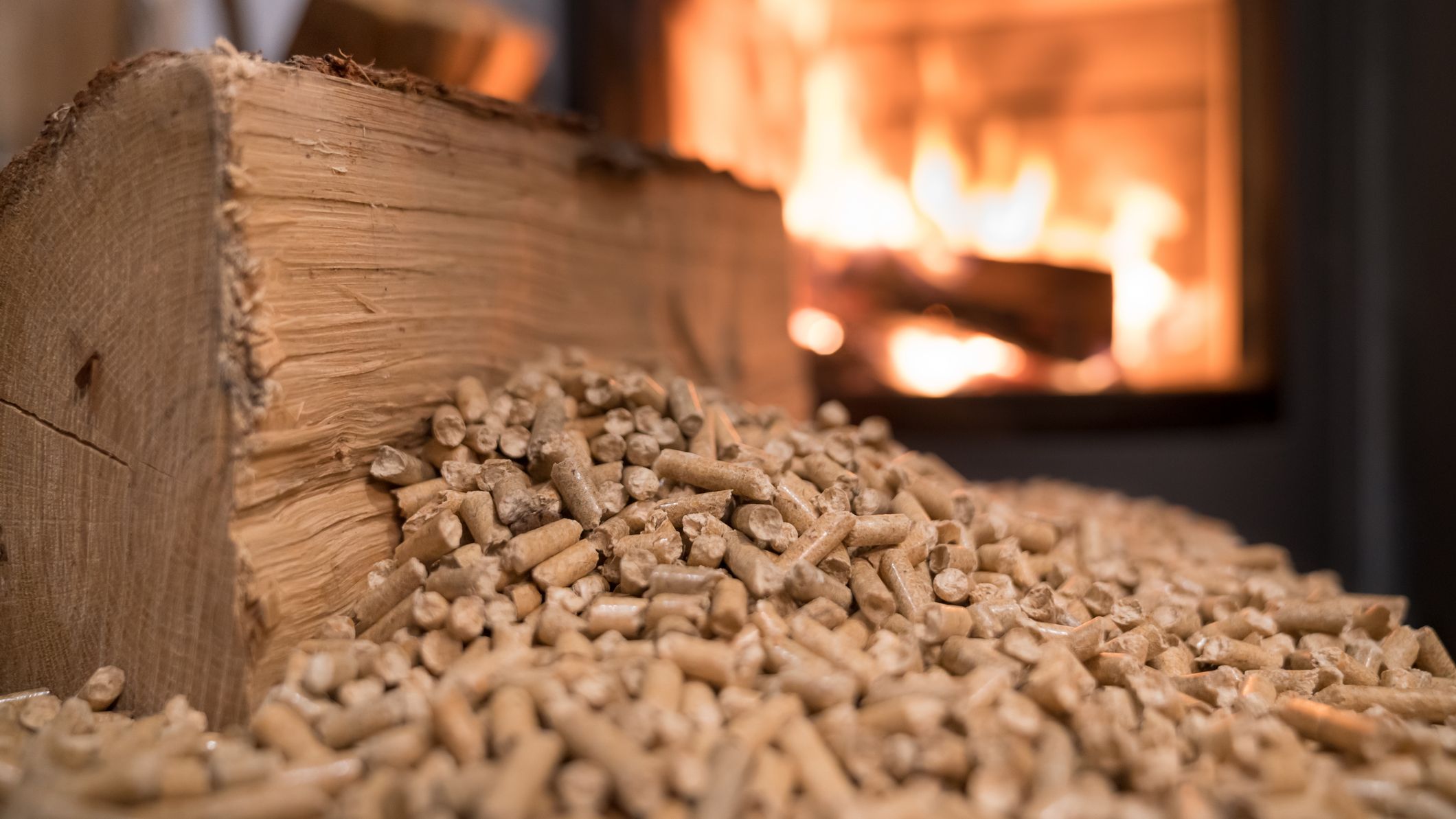 Photo d'illustration