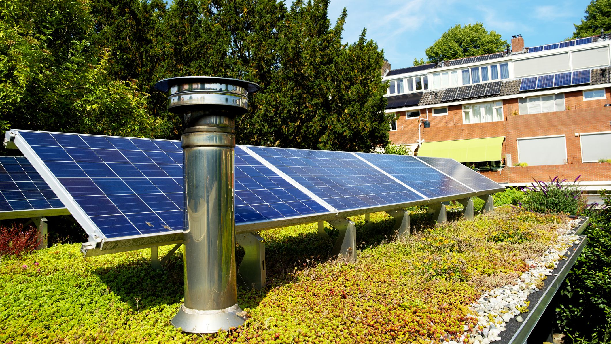 Une toiture végétalisée et équipée de panneaux solaires photovoltaïques.